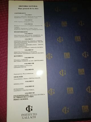 Historia Natural, Vertebrados