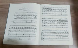 Libro para Violonchelo Saint-Saêns