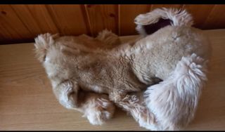 Peluche cachorro de perro
