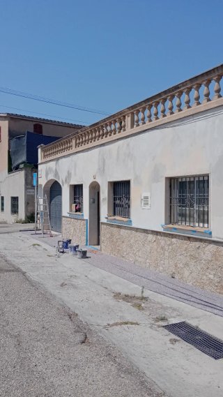 Pintor y albañil  profesional