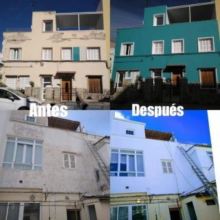 Pintor y albañil  profesional