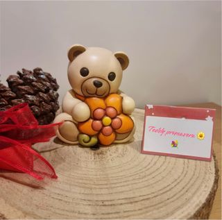 Teddy primavera medio 2023 