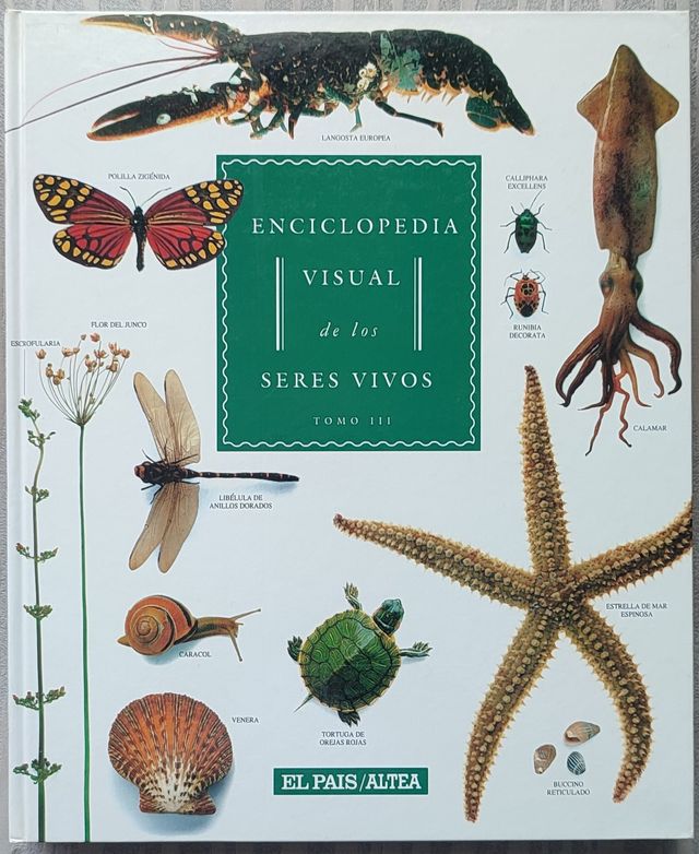 GUÍA VISUAL DE LOS SERES VIVOS