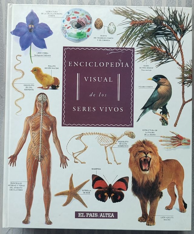 GUÍA VISUAL DE LOS SERES VIVOS