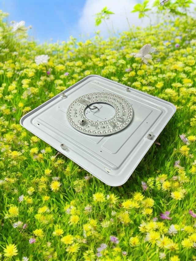 Plafon LED TECHO 25W con selector color