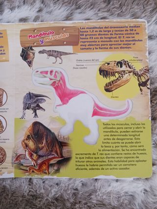 DINOSAURIOS ASOMBROSOS - con transparencias educat