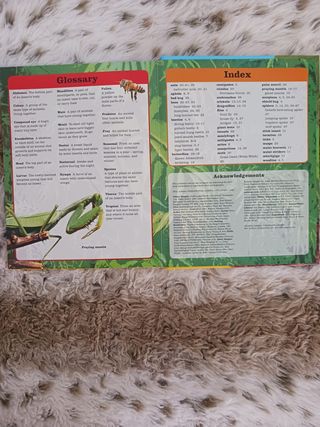 DINOSAURIOS ASOMBROSOS - con transparencias educat