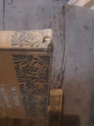 Lecciones de patología digestiva