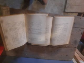 Lecciones de patología digestiva