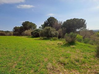 Terreno en venta en Can Jofresa - Sta. Margarida en Terrassa