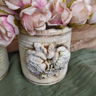 3 Latitas Shabby Chic