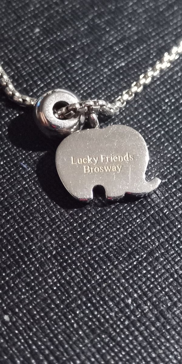 Collana Brosway acciaio 60cm 