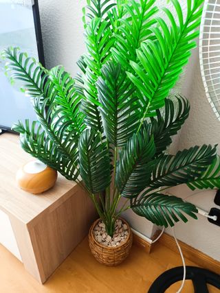 PLANTA ARTIFICIAL INCLUYE MACETA Y PIEDRAS RELLENO