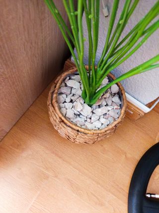 PLANTA ARTIFICIAL INCLUYE MACETA Y PIEDRAS RELLENO