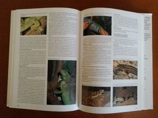La Enciclopedia del Terrario: Toda la Informaci...