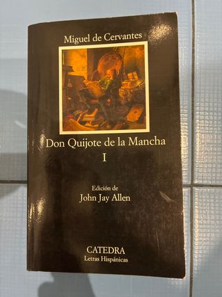 DON QUIJOTE DE LA MANCHA 1