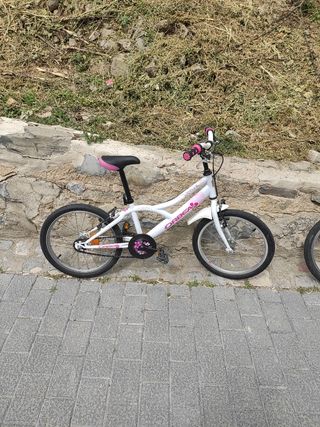 Bicicleta pequeña 