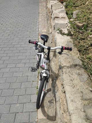 Bicicleta pequeña 