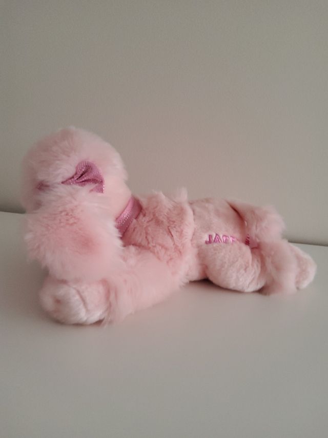 Peluche caniche