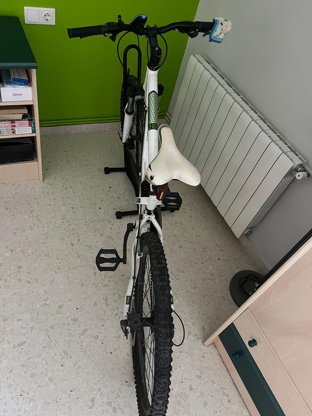 Bicicleta orbea radical flow