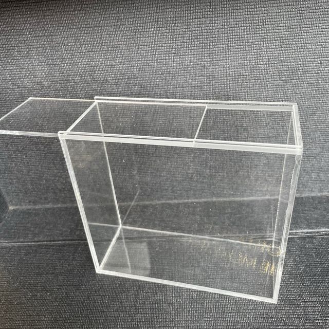 Case plexiglas Pokemon Heartgold Soulsilver