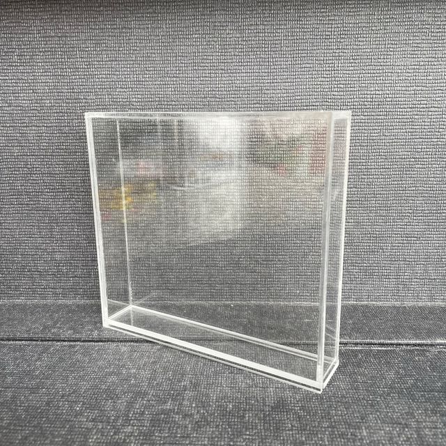 Case plexiglas giochi DS DSI Pokemon Platino