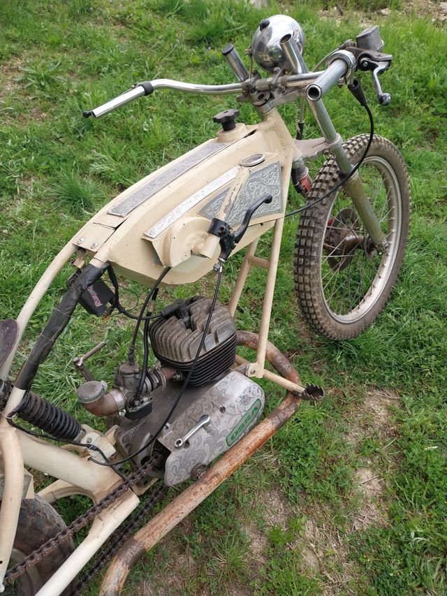 Moto ossa