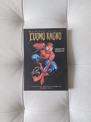 L'uomo Ragno
