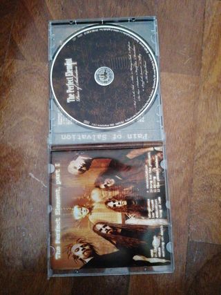 Pain of salvation the perfect element 1