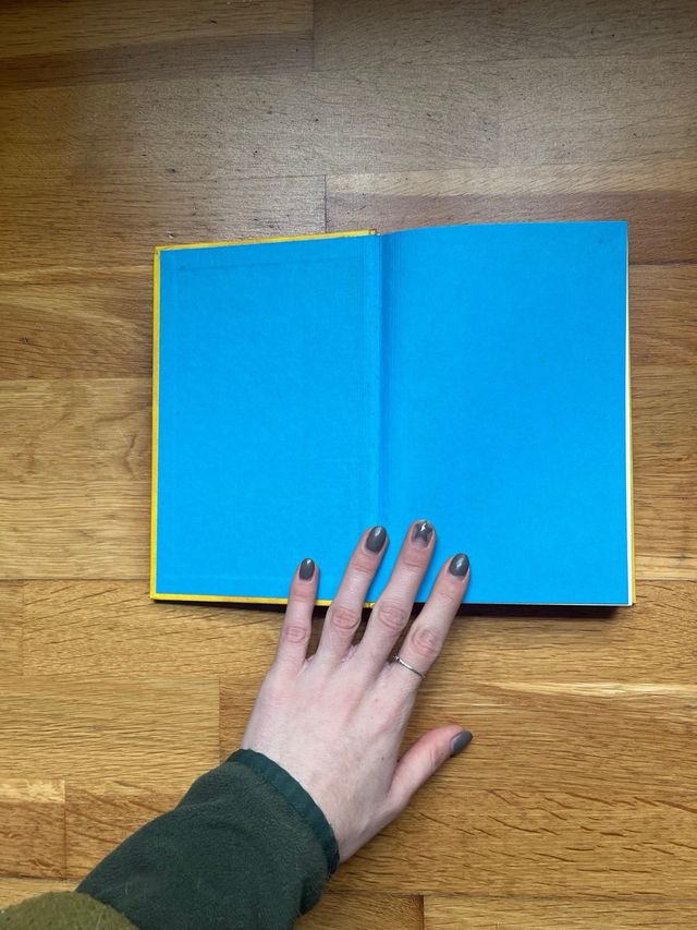 DIARIO DE GREG 4: DIAS DE PERROS