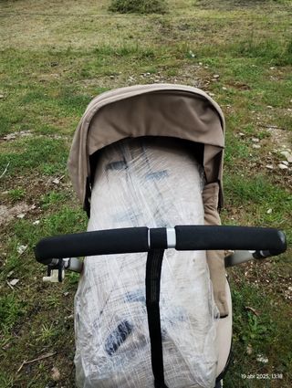 Carro Bugaboo camaleon y patin