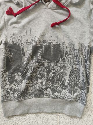 Sudadera gris con capucha.