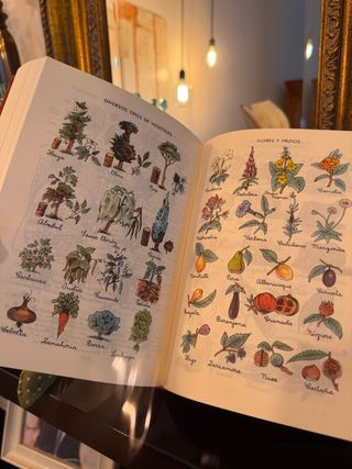Enciclopedia Alvarez 3 grado