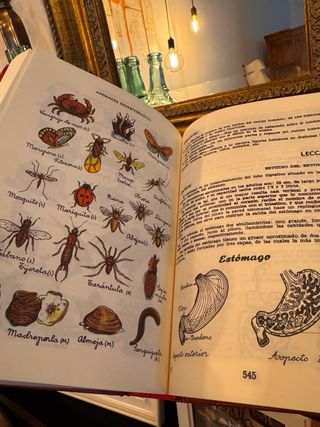 Enciclopedia Alvarez 3 grado