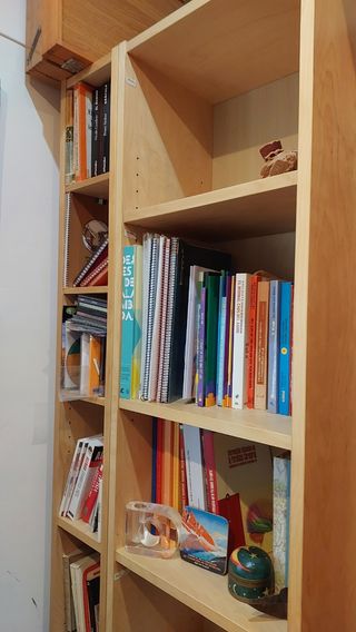 Estanterías Billy y Besta y otros modelos ikea