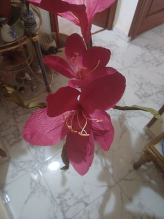 Plantas de interior decoracion