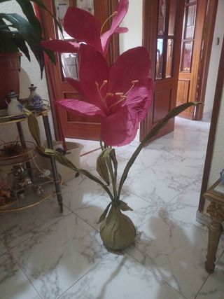 Plantas de interior decoracion