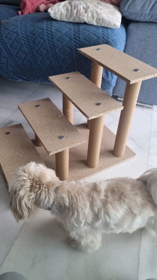 Escaleras para perro
