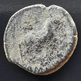 Semis de Linares - Toro, Cástulo (180-150 A.C)