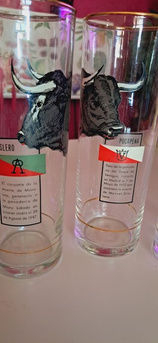 Vasos tubo colección