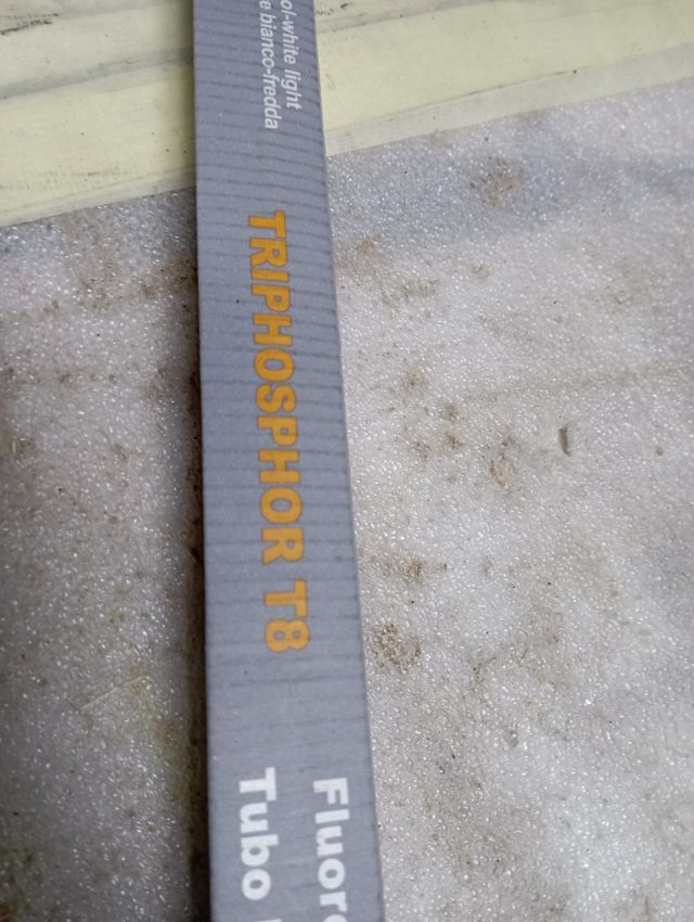 Caja de 25 florescentes 