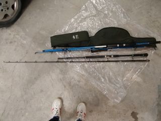 Cañas de pescar siluro