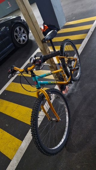 Bicicleta Orbea niño-a montaña