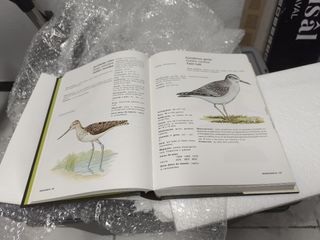 Aves de Euskal Herria