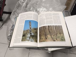 Vegetación en la Comunidad Autónoma del País Vasco