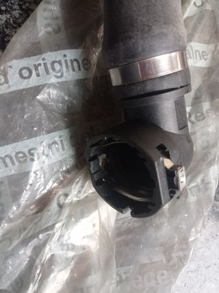 Manguito radiador Fiat