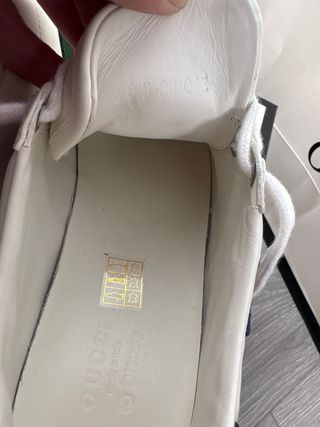 Zapatillas Gucci 