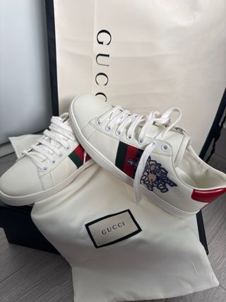 Zapatillas Gucci 