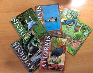 Aviornis Internacional, Año 2013