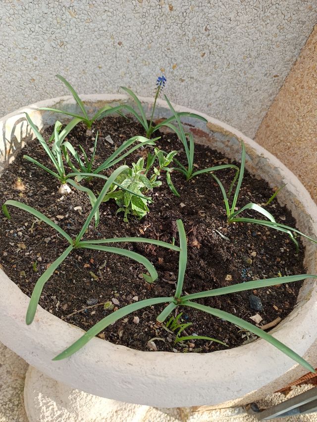 Macetero alto con pedestal jardín